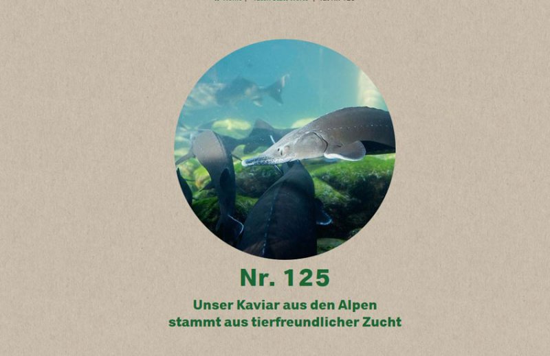 phpThumb_cache_tropenhaus-frutigen.ch__src5b5ff268e83518a19ae342de617aa476_parbd7005966bdfd02057be23ed3aaa9ae3_dat1450706239.jpeg