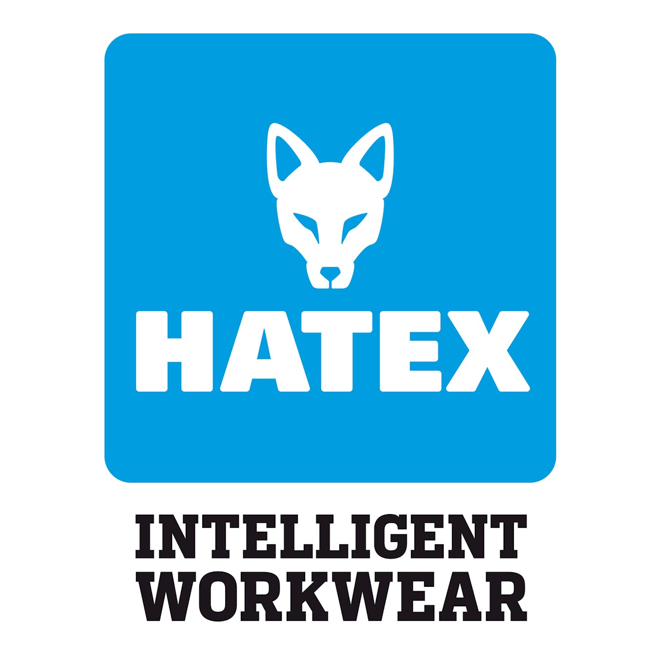 hatex_logo.jpg