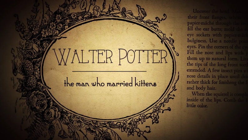 Screen Shot 2017-03-03 at 11.34.34 AM.png