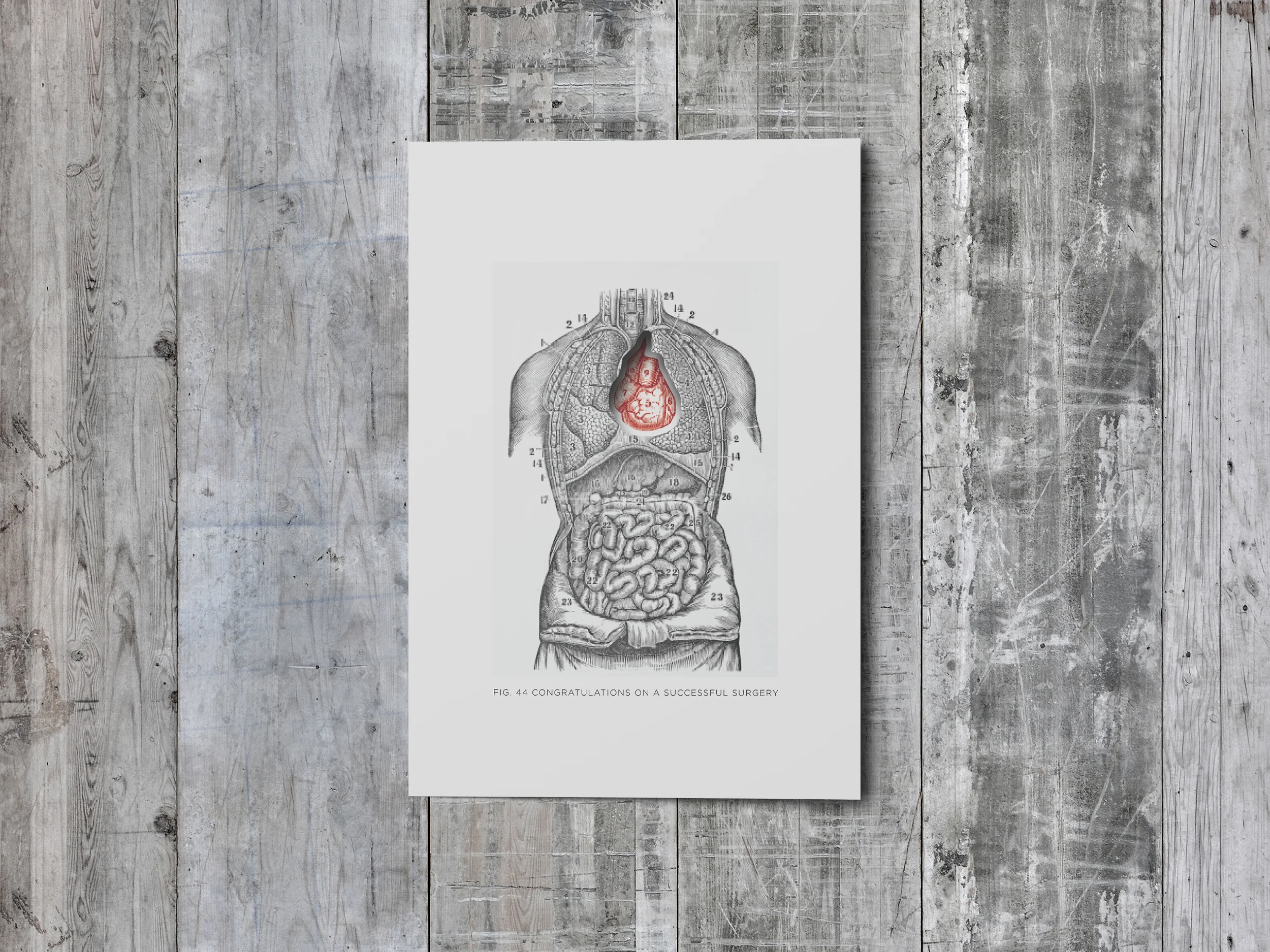 Heart_004.jpg