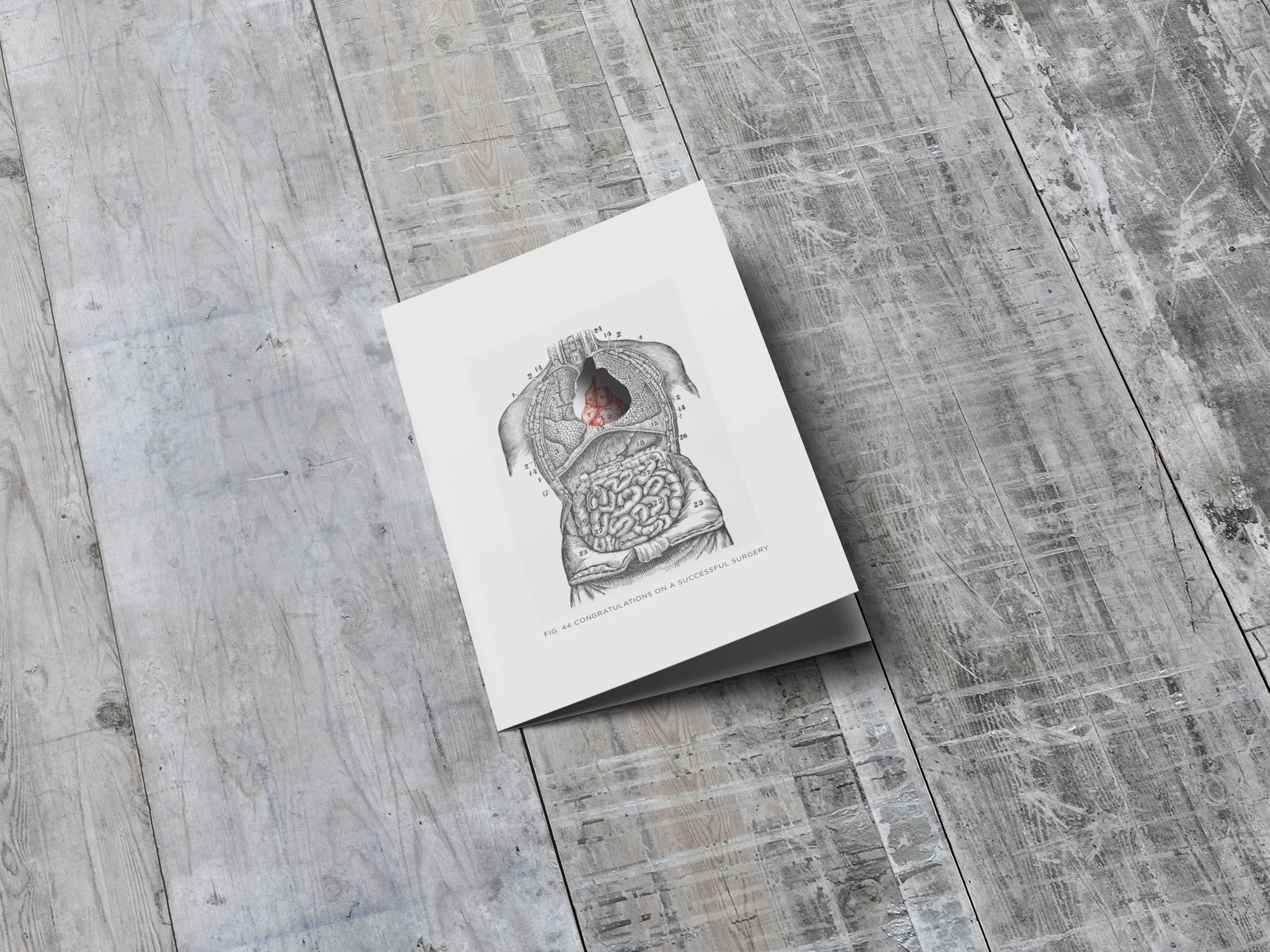 Heart_011.jpg