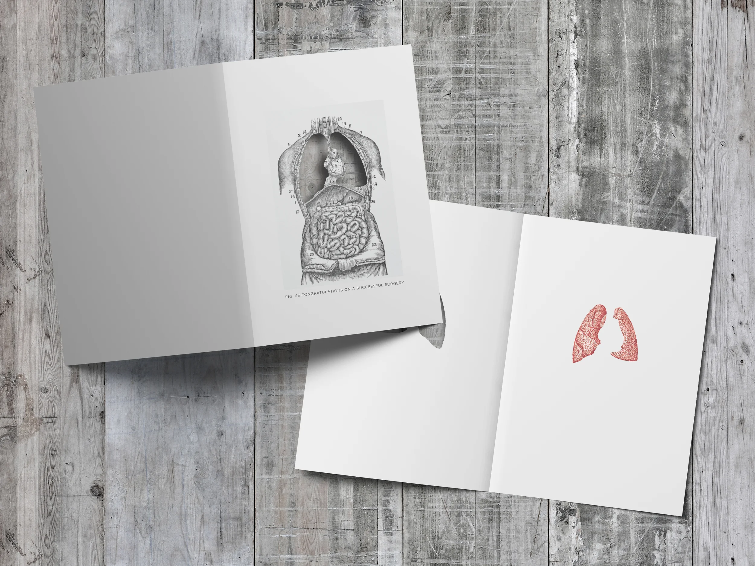 Lungs_003.jpg