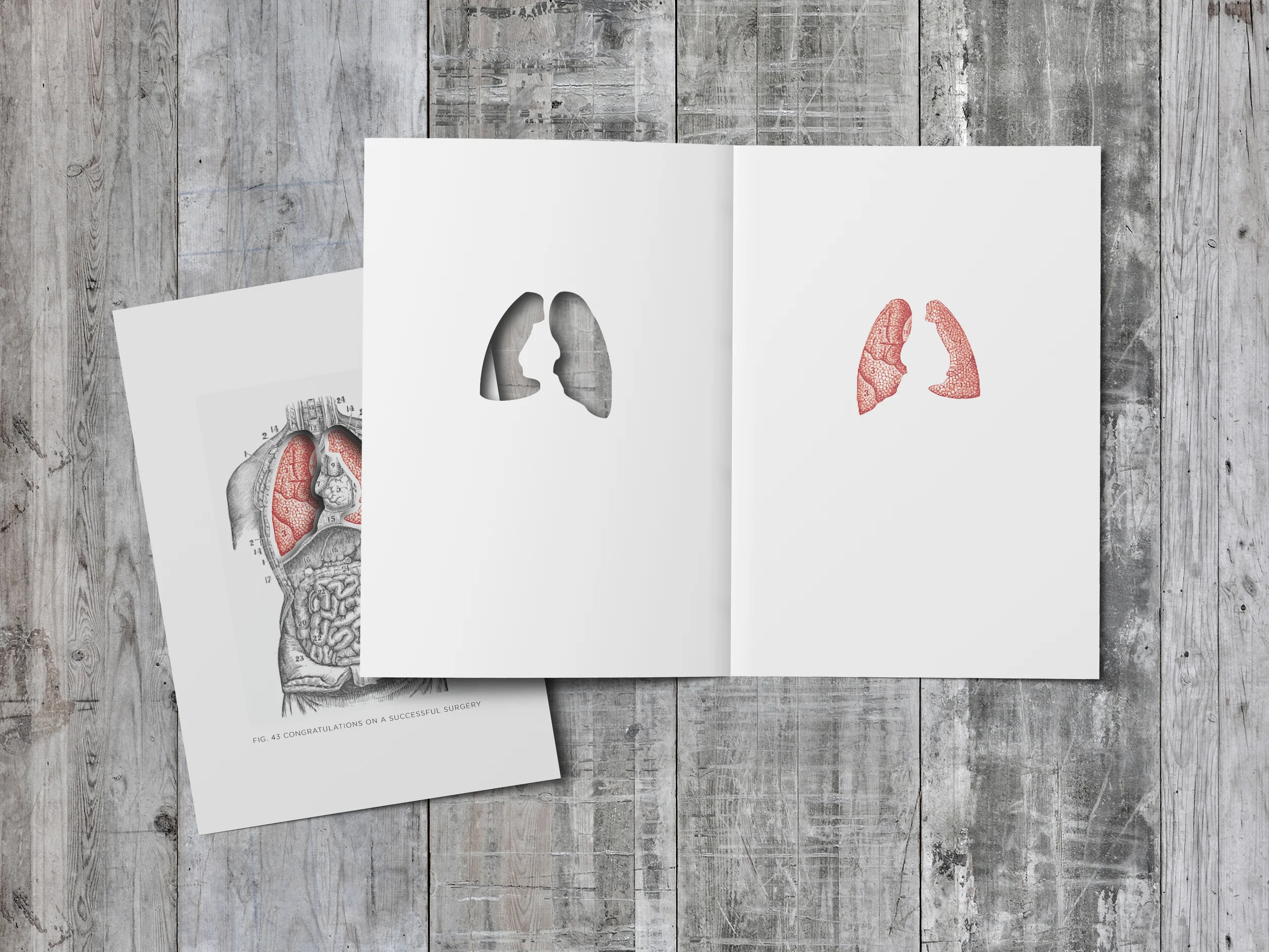 Lungs_007.jpg