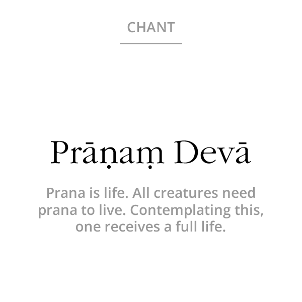 Chant-Vedic-PranamDeva.gif