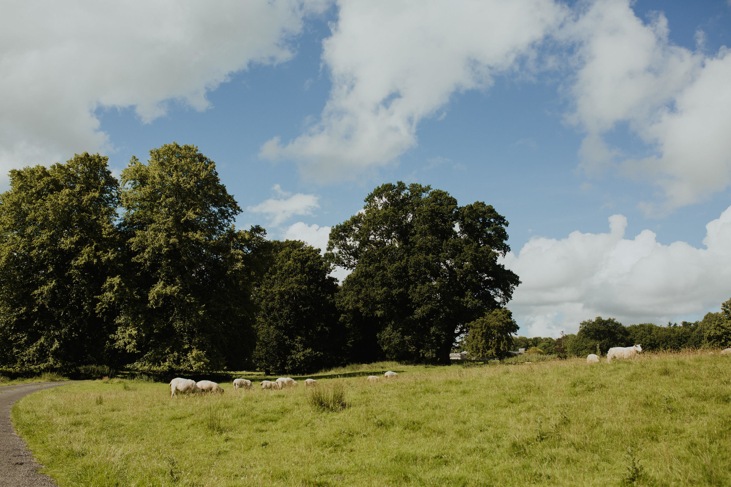 a+s_temple_house_sligo_wedding_livia_figueiredo_04.jpg