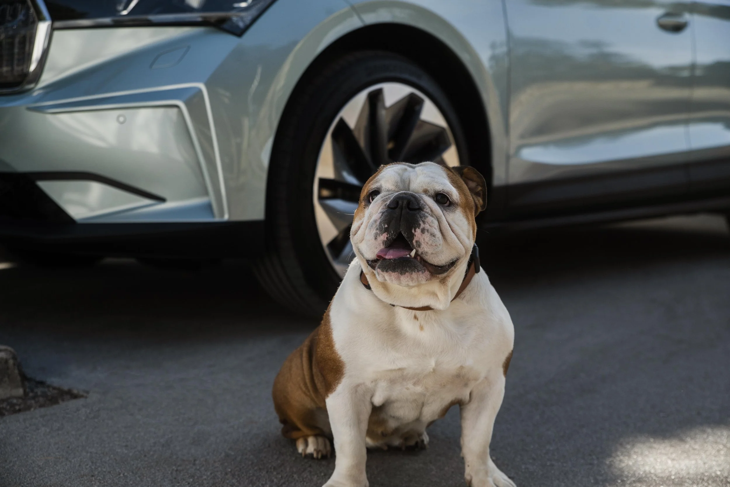 ENYAQ iV_2021_SoMe_00038_LIFESTYLE_OrigSize.jpg