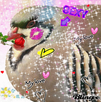 751649346_884059.gif