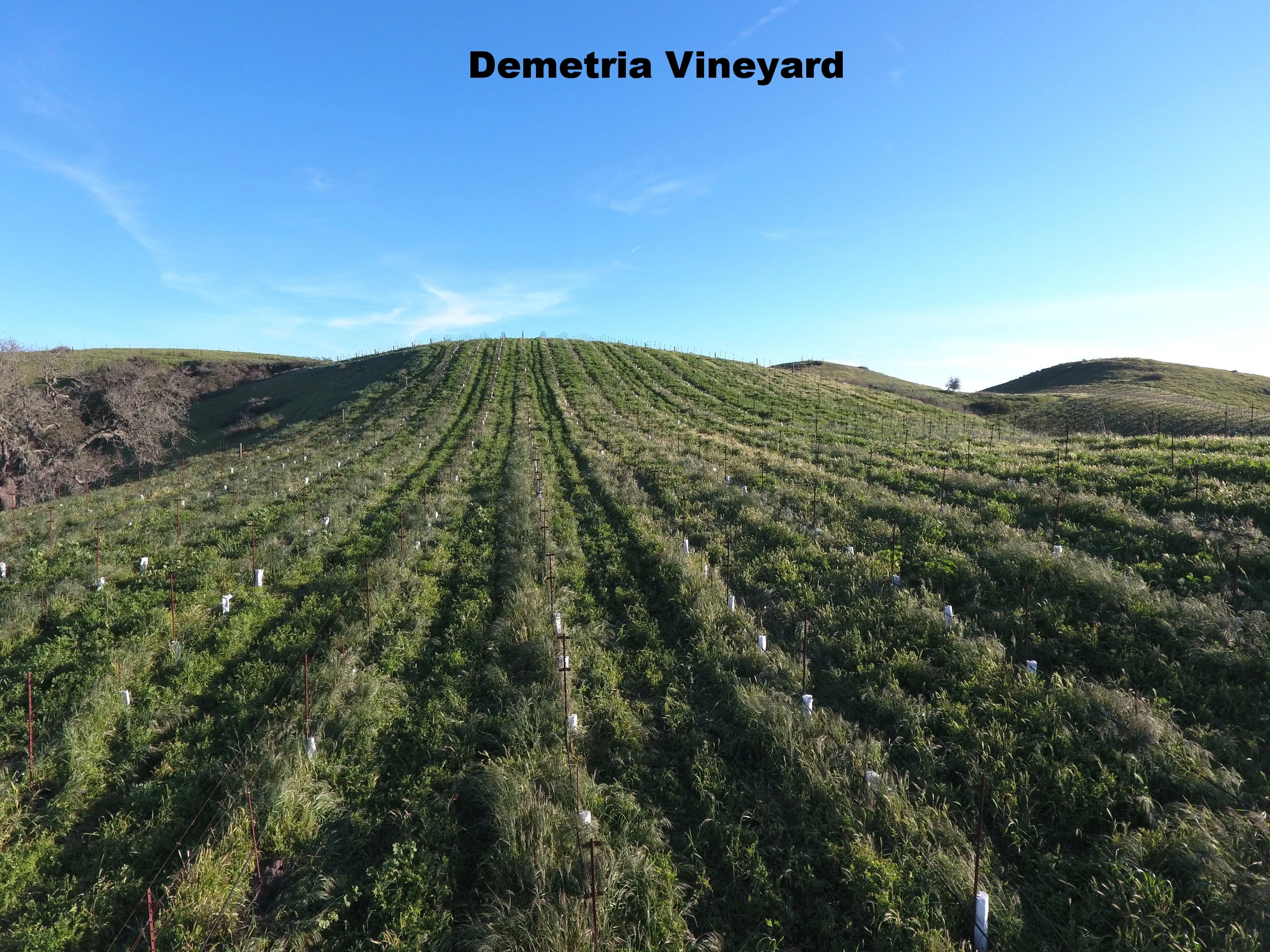 DJI_0110.JPG