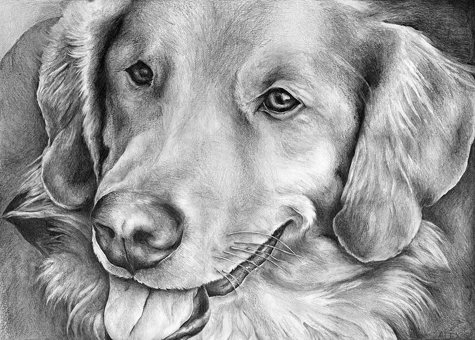 Portrait_03_Rudi.jpg