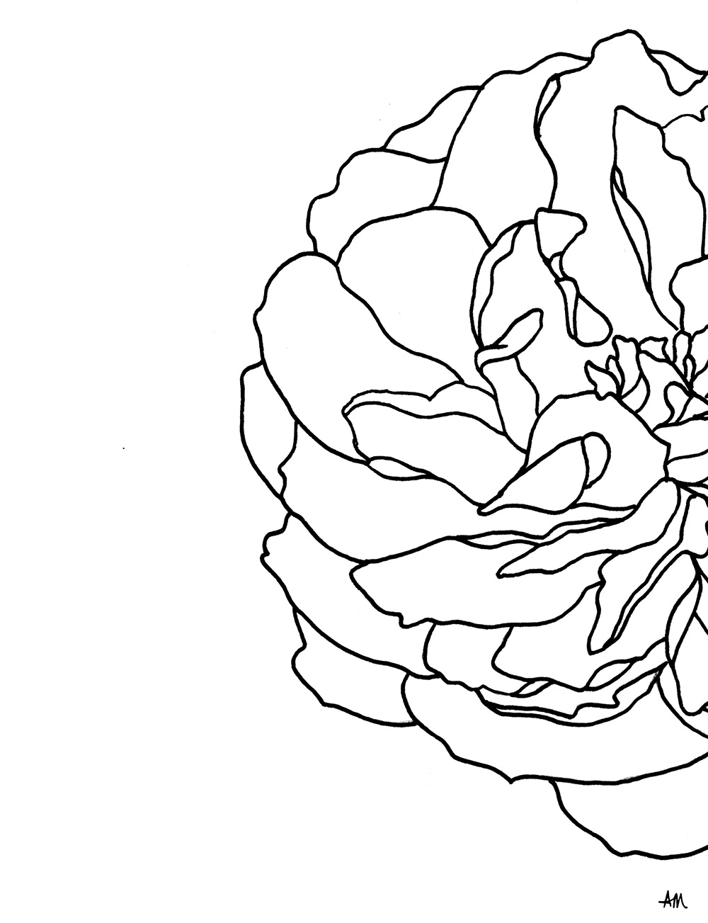 rose-gouache.jpg