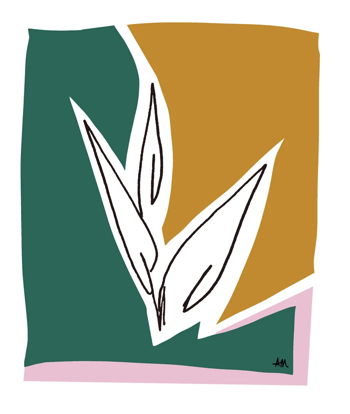 layers of the tropic