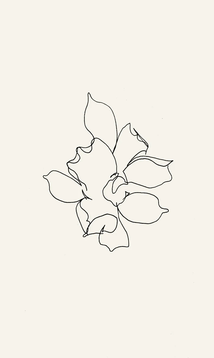 Denver_leaf_04.jpg