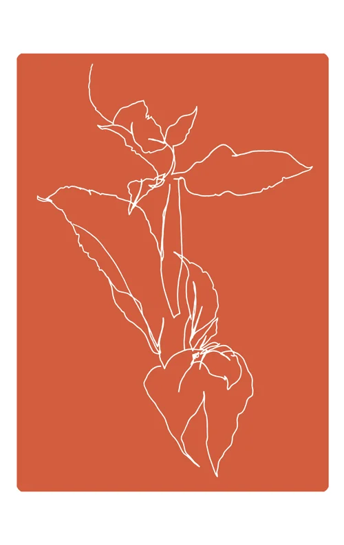 peony_b.jpg