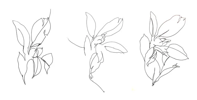 CT_flower.jpg