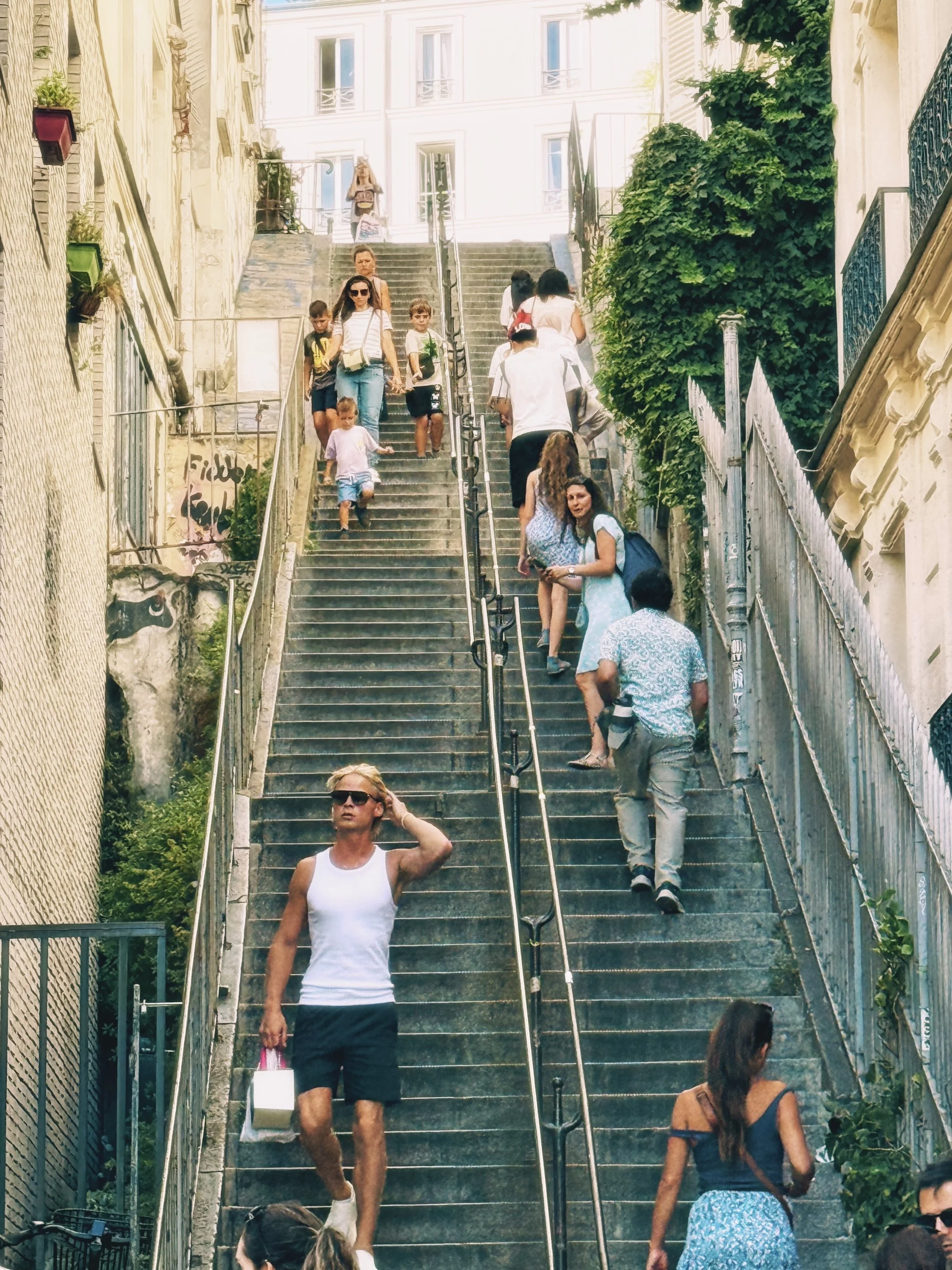 parismontsteps.jpeg