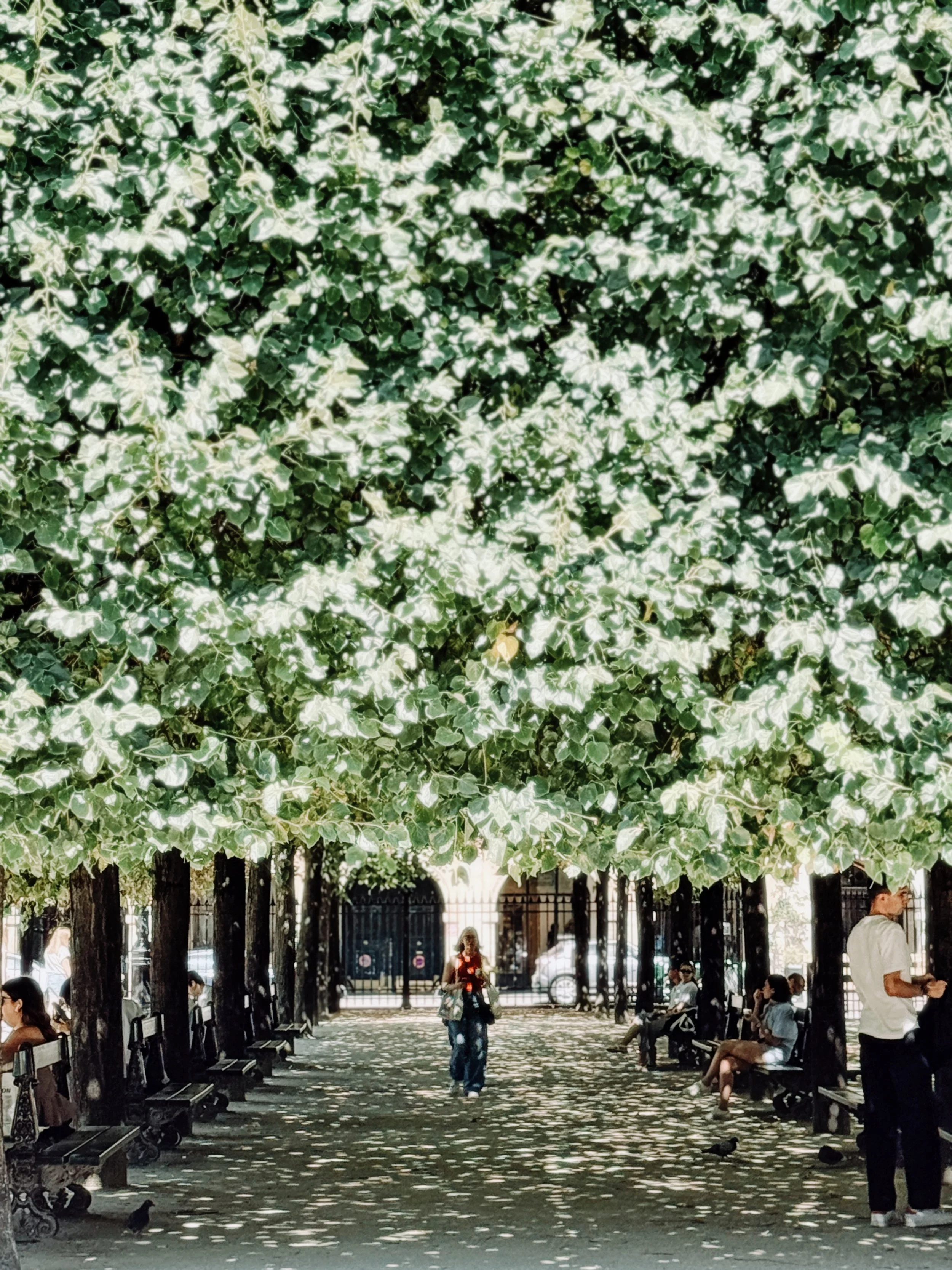 FullSizeRender_VSCO-81.jpg