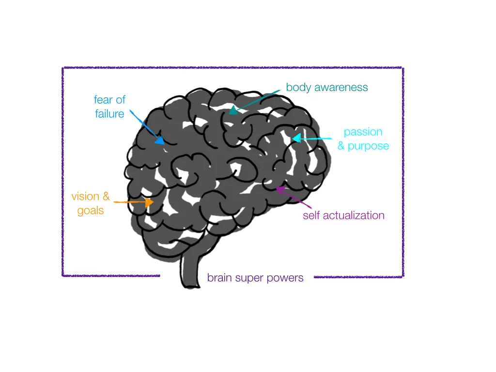 Welcome To Your Brain