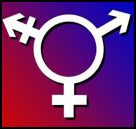 Three Gender Circle.png