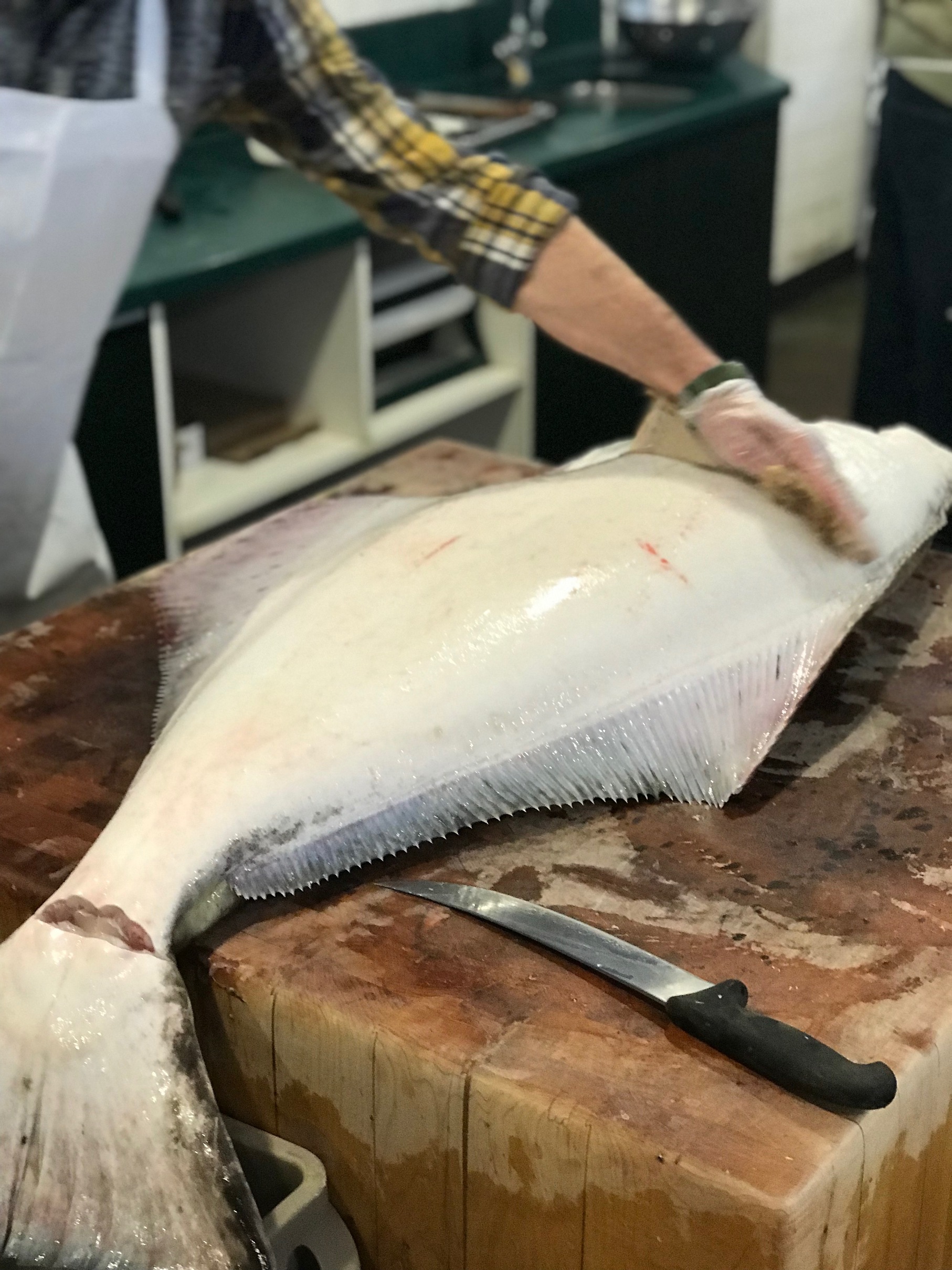 Halibut fillets, steaks, cheeks, or ask our staff to cut-to-order.