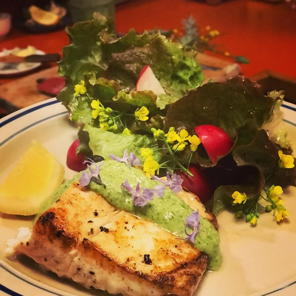 Pan Roasted Halibut With Green Garlic Pesto Newman S Fish Company