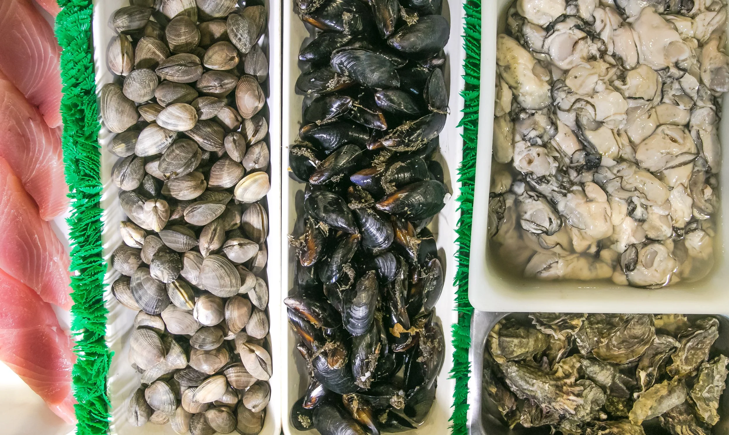 Our Markets — Newman's Fish Company