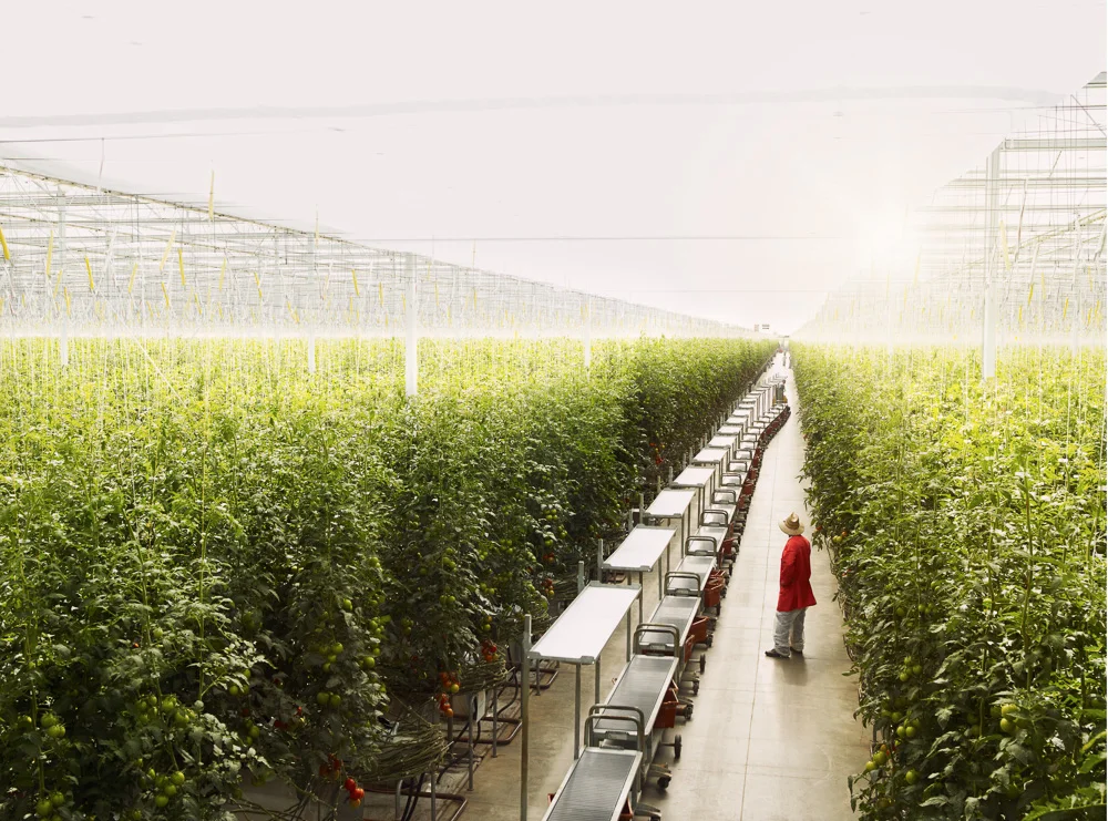 FUTURE FARMING