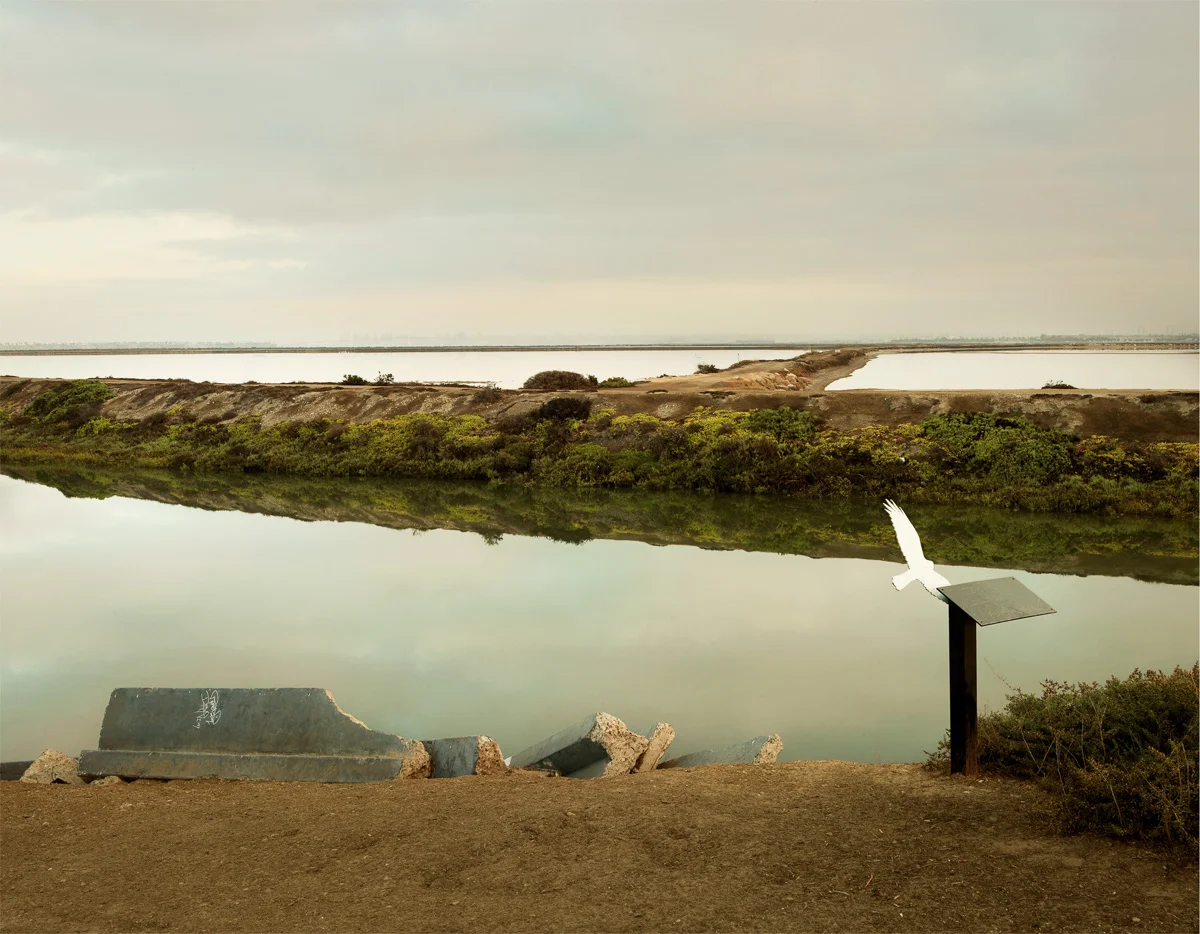 SAN DIEGO BAY COASTAL WETLAND RESTORATION, SAN DIEGO, CALIFORNIA