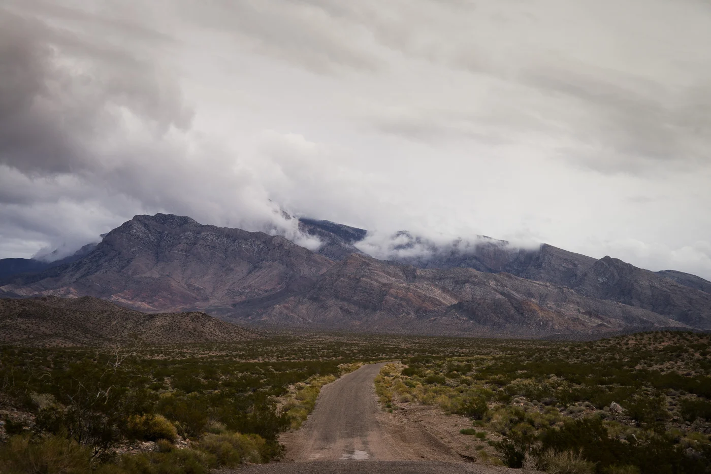 HARPER'S MAGAZINE: THE GREAT REPUBLICAN LAND HEIST
