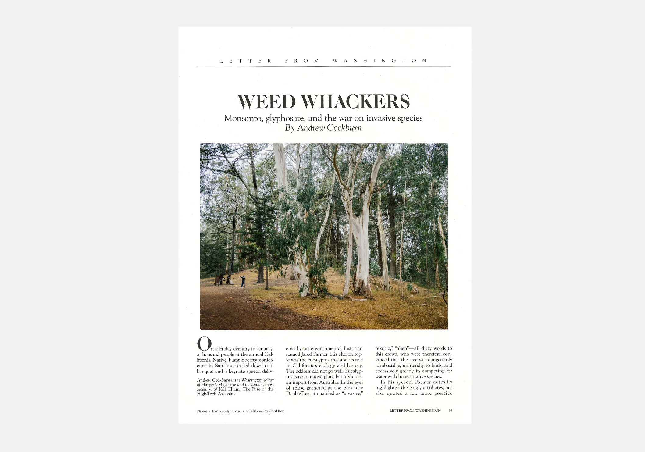 HARPER'S MAGAZINE: WEED WHACKERS
