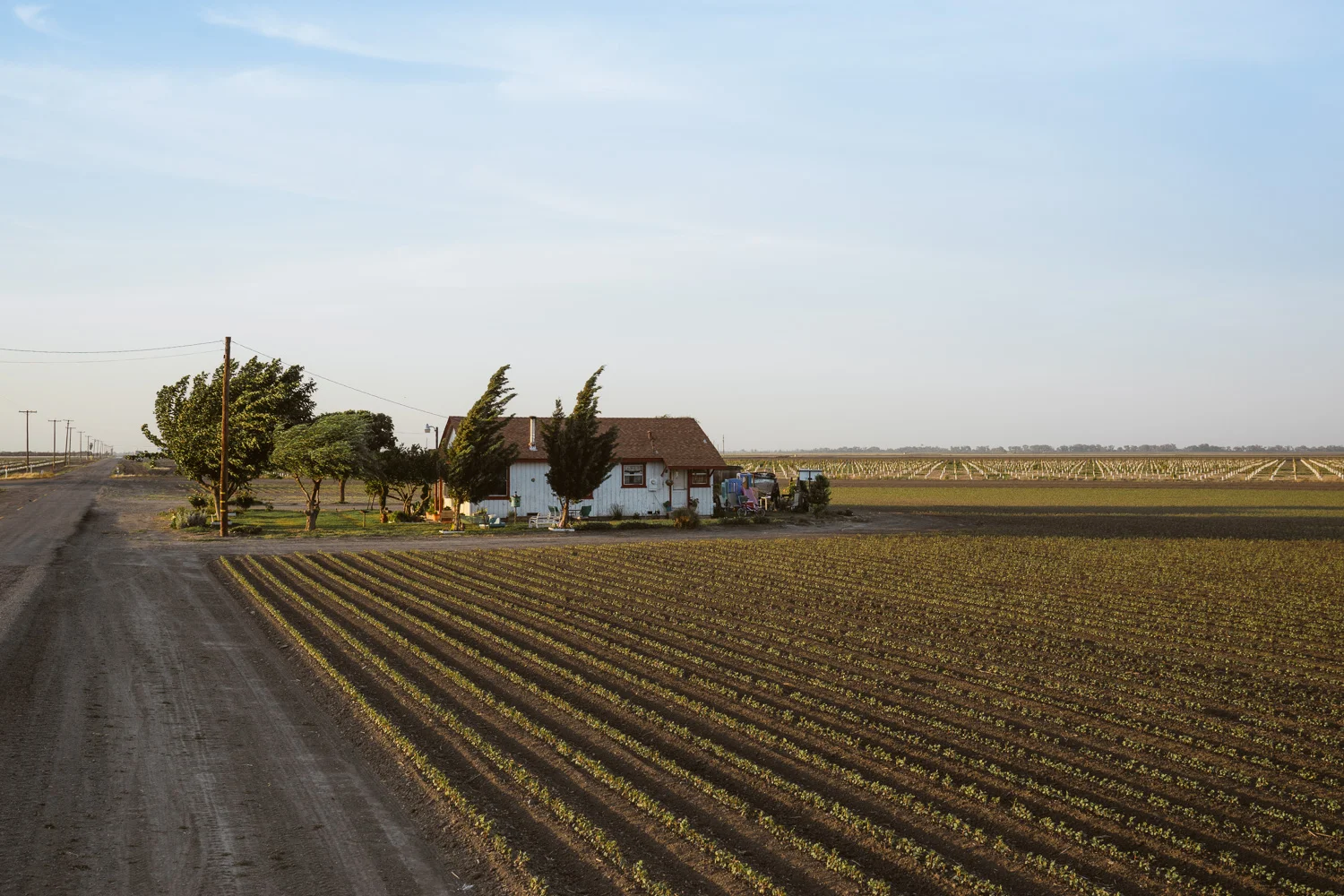 A farm served by the San Luis Canal Company, which manages the water supply for about 45,000 acres in California.