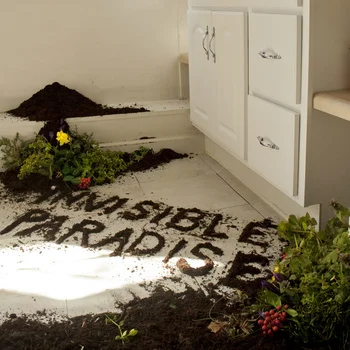 Invisible Paradise.jpg