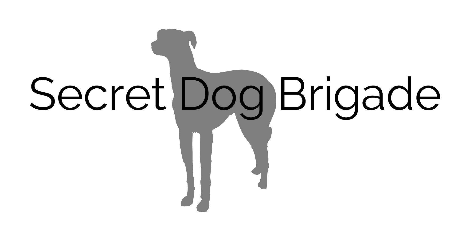 Secret Dog Brigade Launch Party
