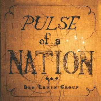 Pulse of a Nation (2010)