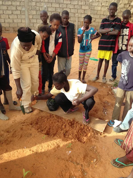  Les élèves de l'école primaire de Keur Massar 2 en train de préparer le sol pour transplanter. Students of  Keur Massar Primary School Number 2 &nbsp;preparing the soil for transplanting&nbsp; 