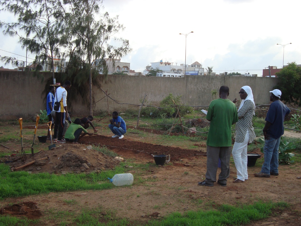  Students at work in the garden at Malamine Camara High School 