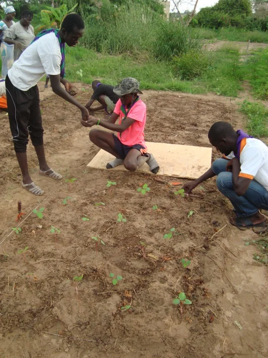  Scouts planting Okra at Fankanta 