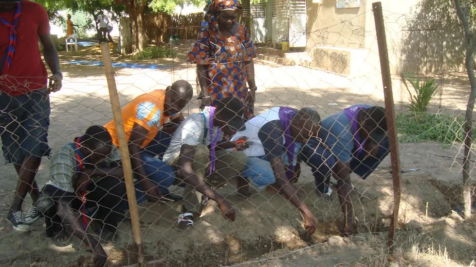Planting during training session in Fimela. Fall 2014