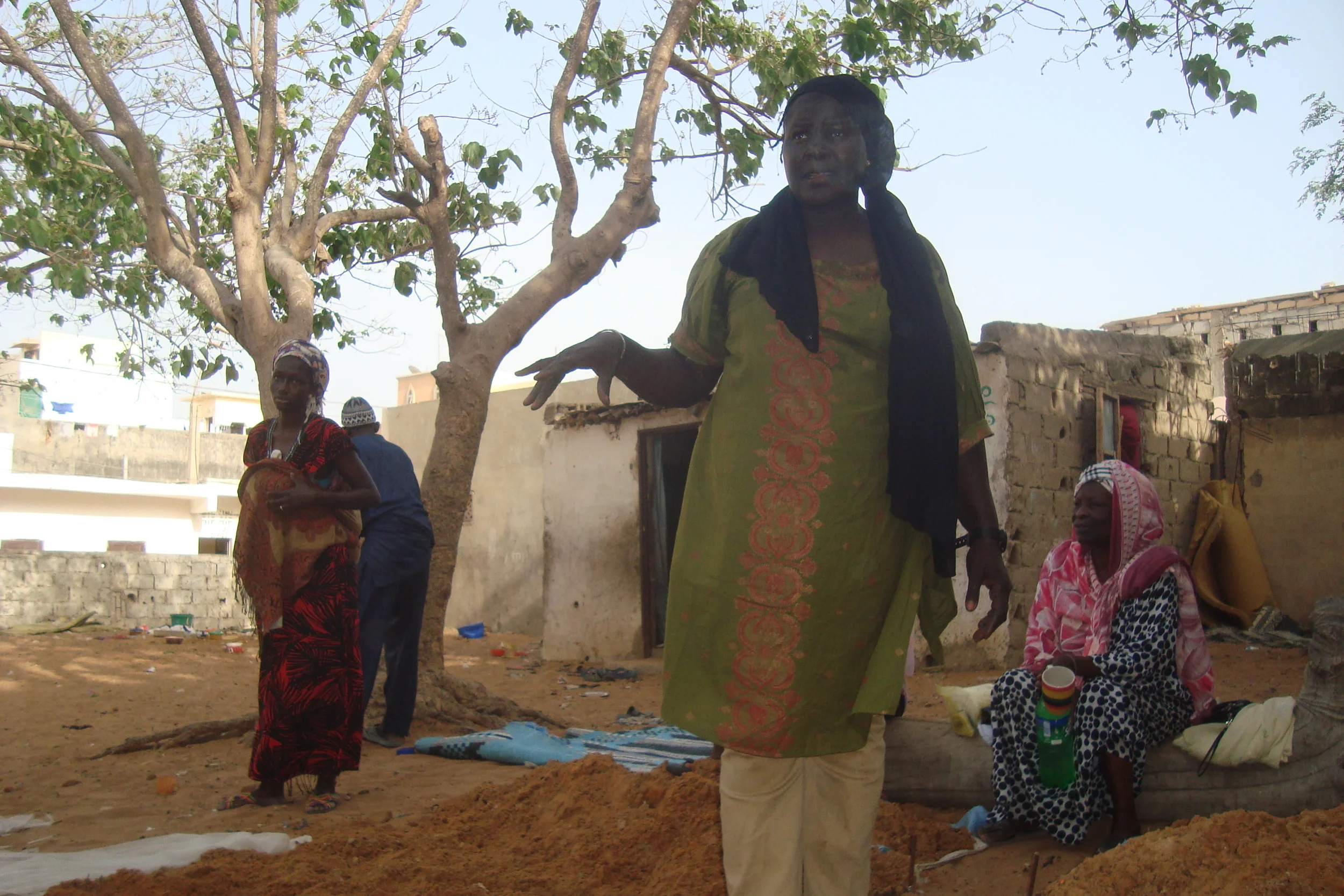 Project with Parcelles Assianies Woman's Group, Summer 2015