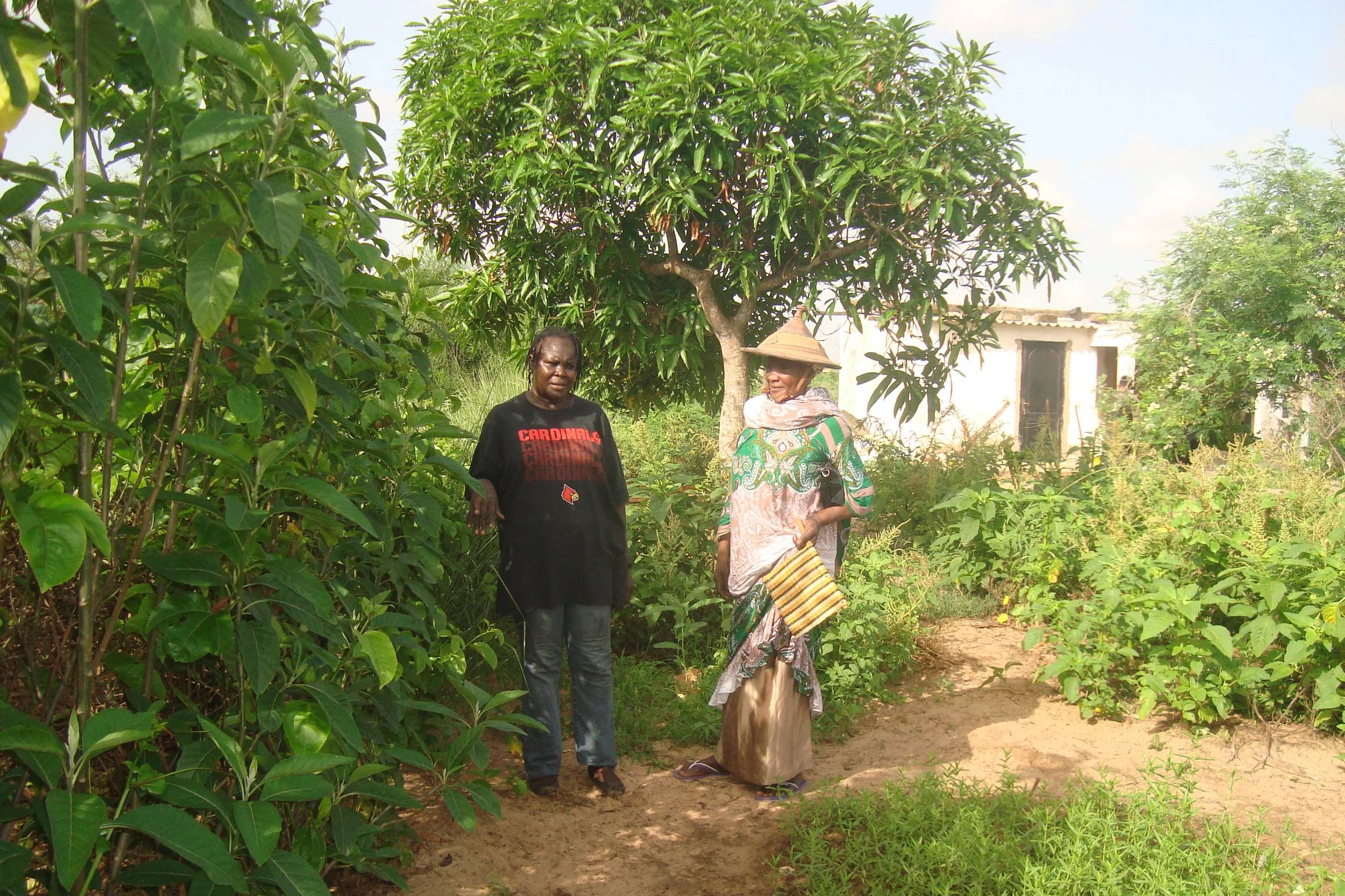 Fatou with her Mother under a Mango Tree at Fankanta, Summer 2015