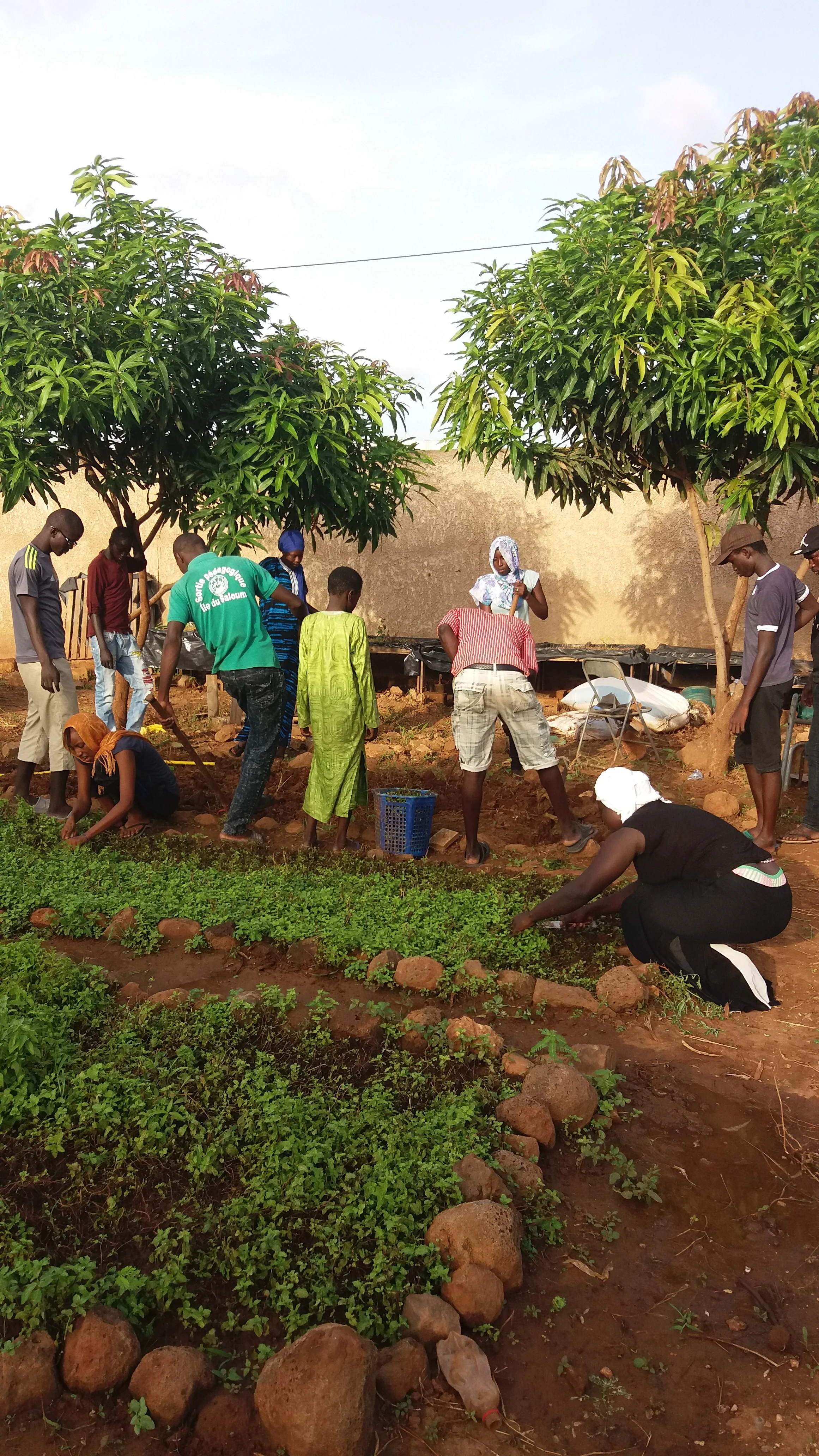 Des élèves du club environnement du lycée Sergent Malamine Camara en action.