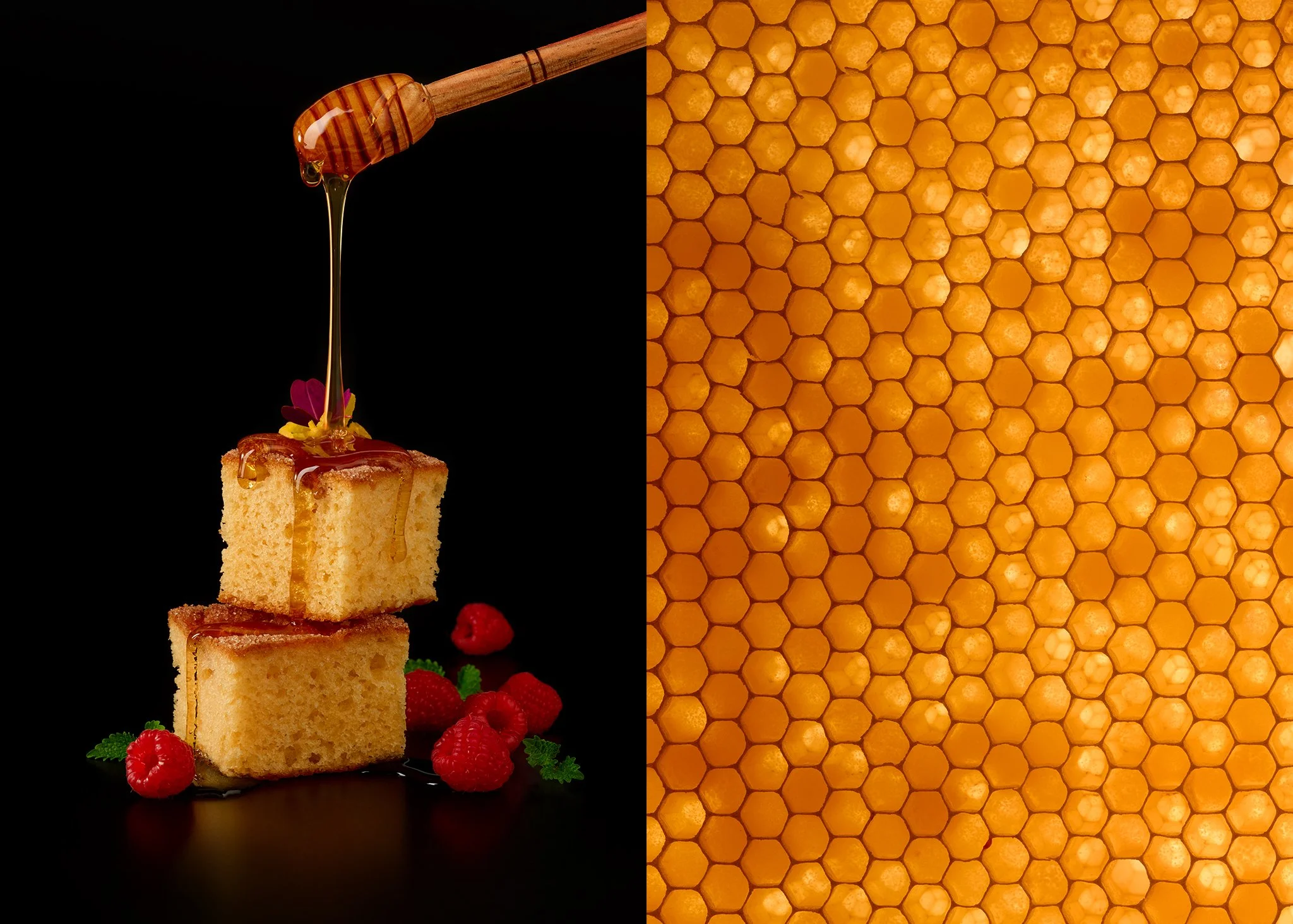 honey sponge.jpg