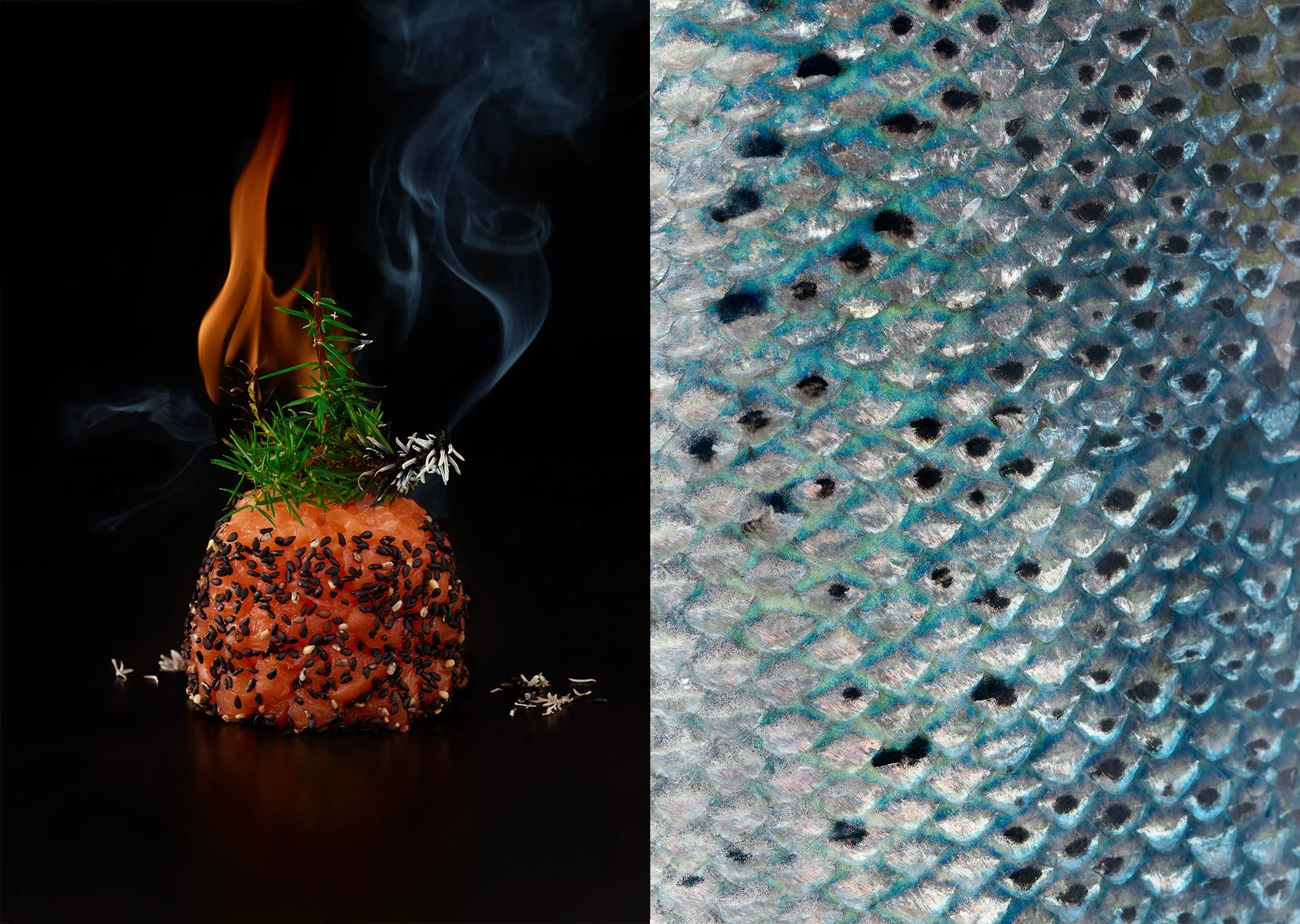smoked salmon.jpg