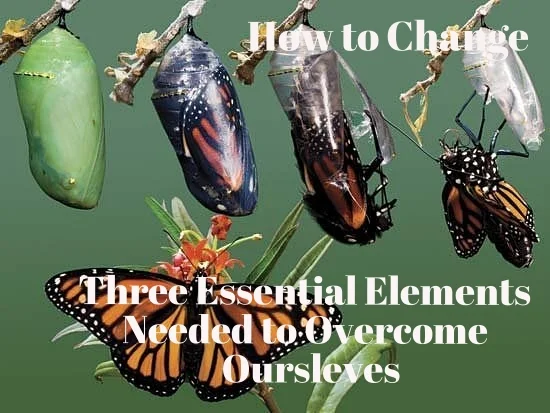 How To Change: Three Essential Elements Needed to Overcome Oursleves
