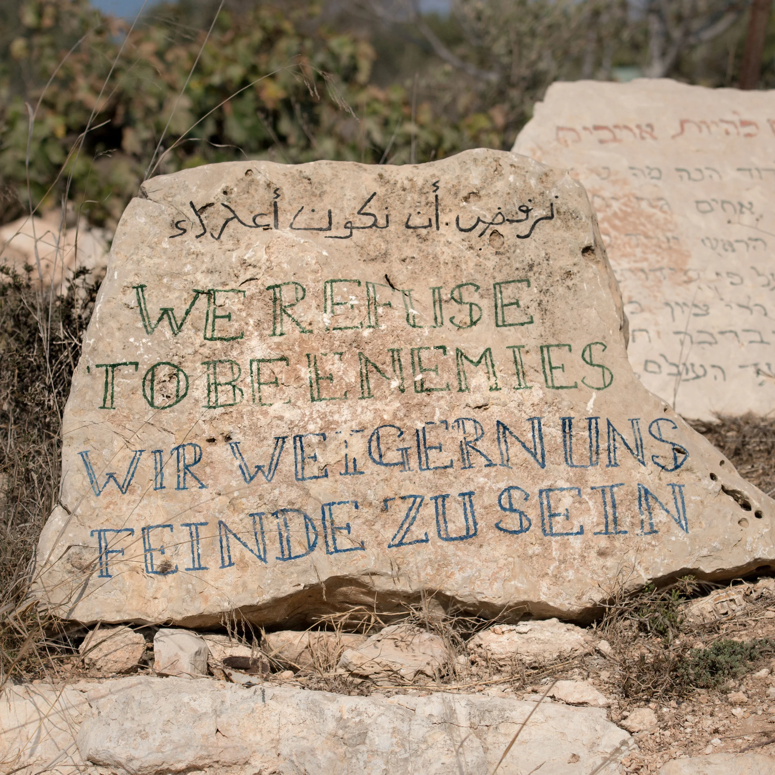 Tent of Nations. West Bank, Palestine.
