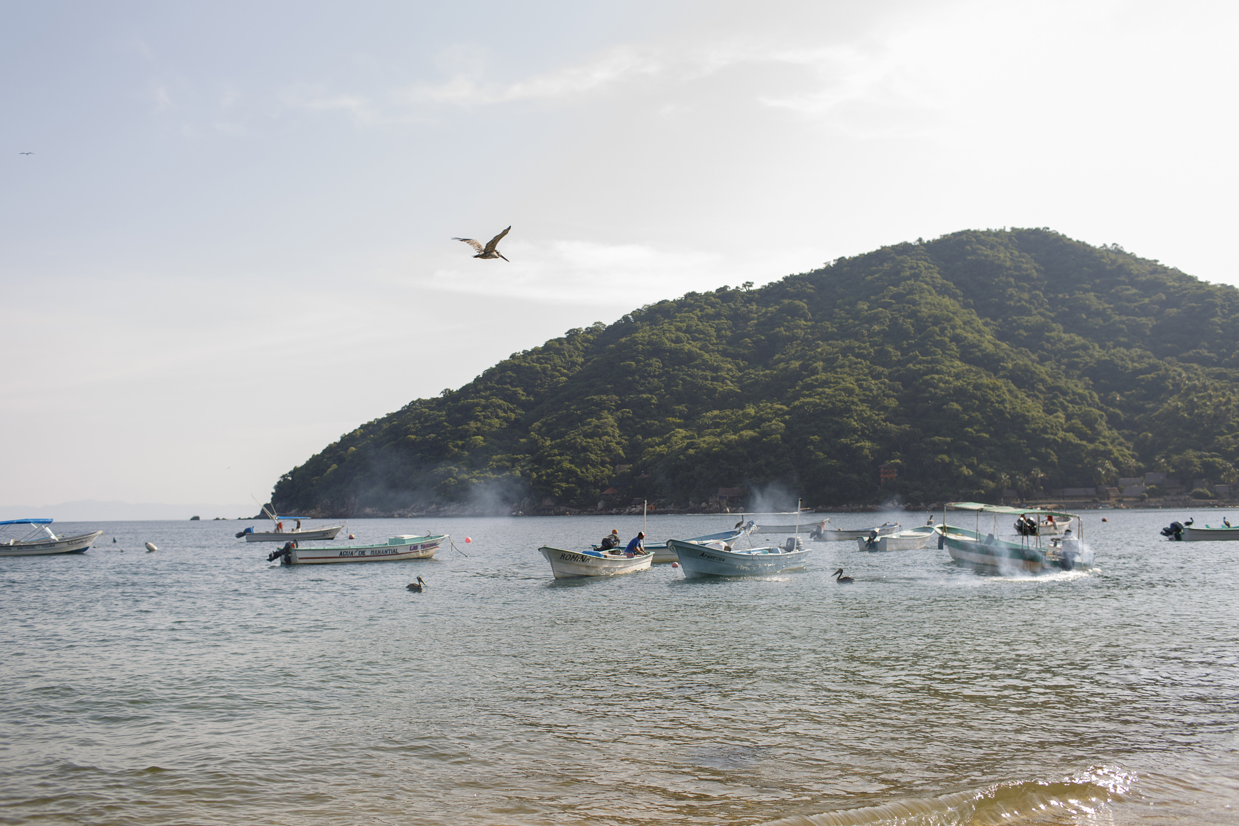 Tais-Thierry-05-Yelapa-04.jpg