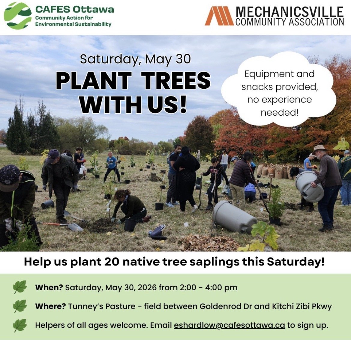 people in a field with various trees in the background, people in various states of digging holes and transplanting trees in the field with shovels