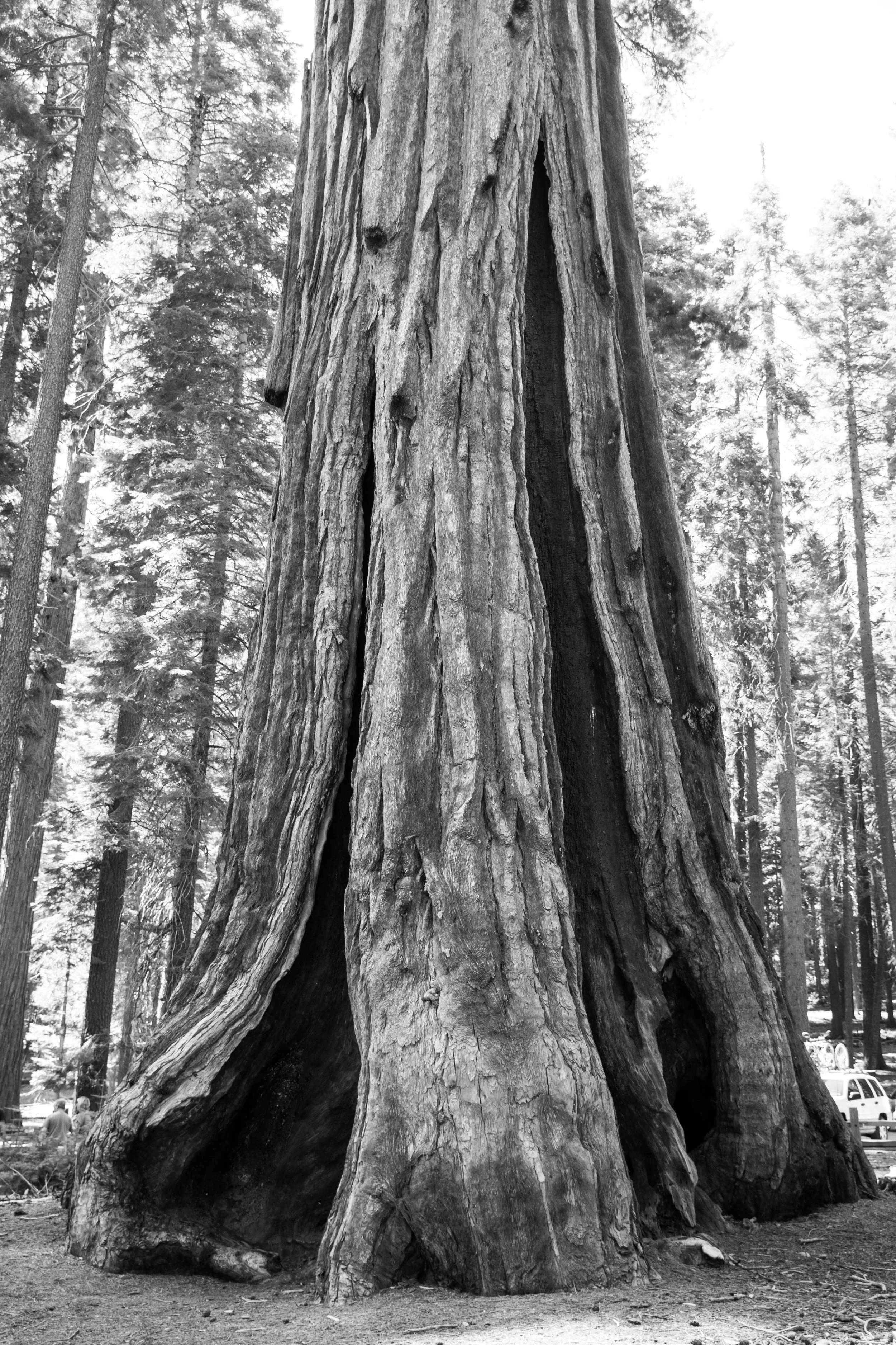 _DSC9516.jpg