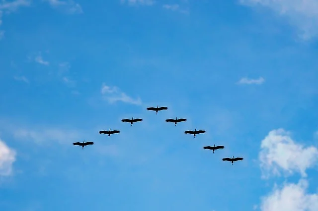 cloud-migration.jpg