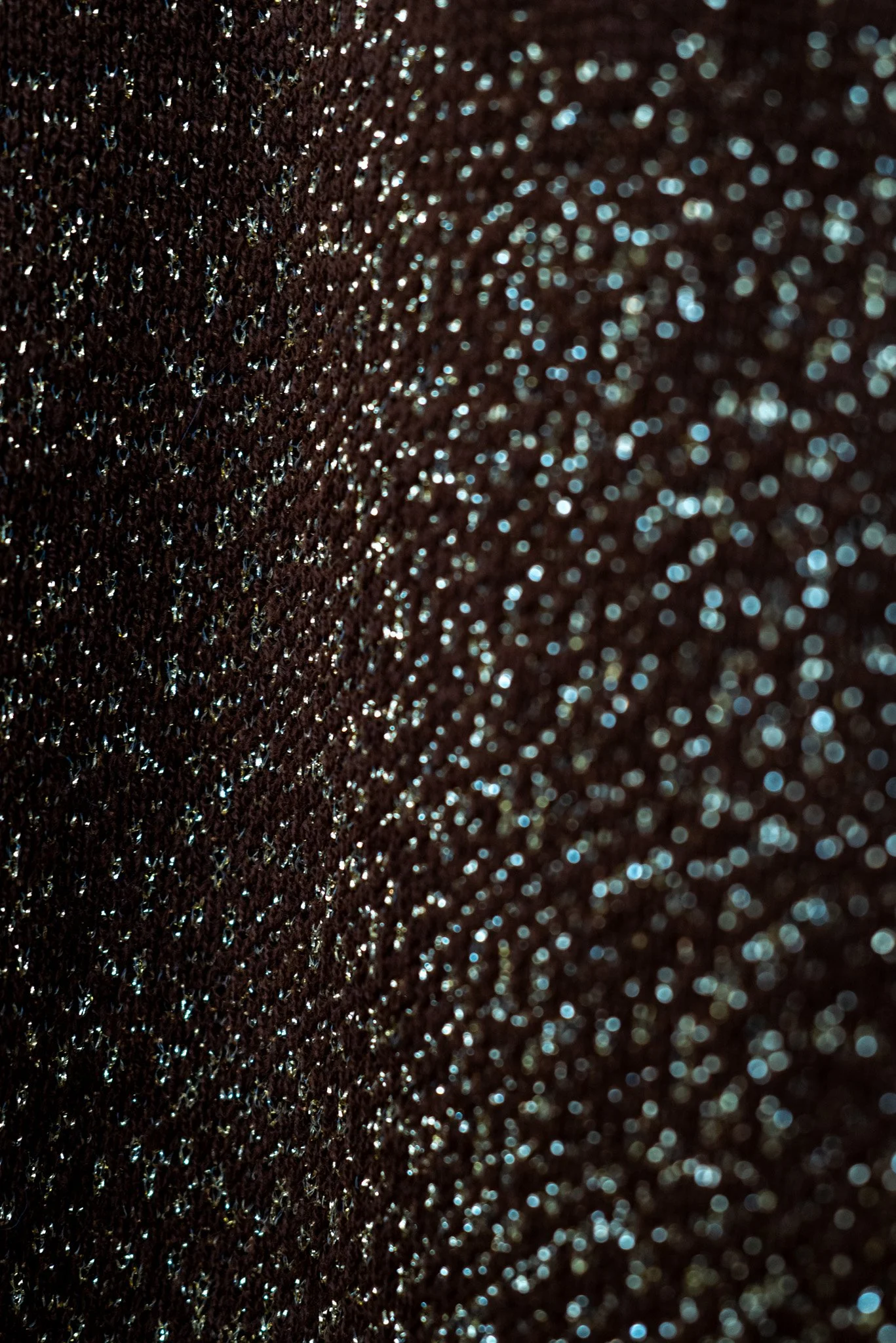 L1080459.jpg
