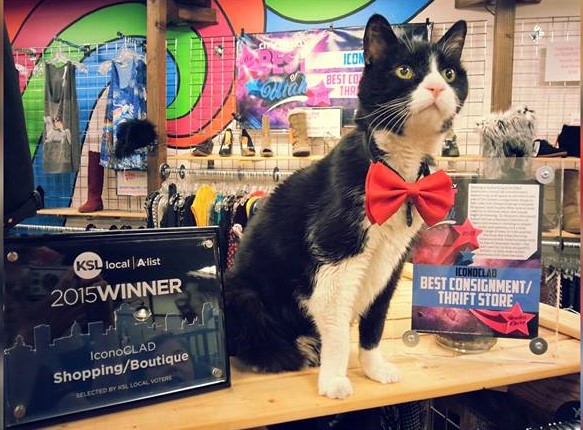 Kisses the Shopcat